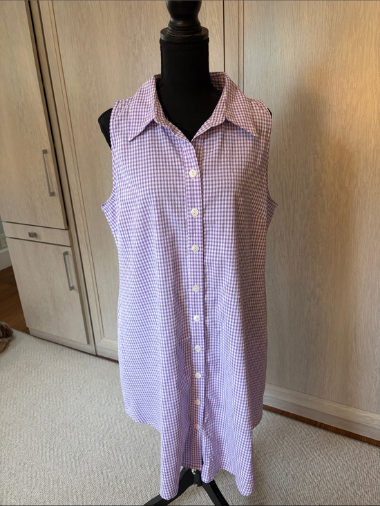 BOHO CHIC Dresses & Skirts - Sleeveless Lavender Gingham Button-Front Dress with Collar